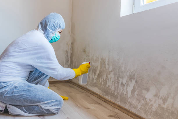 Mold inspector in Charlotte Hall performing thermal imaging